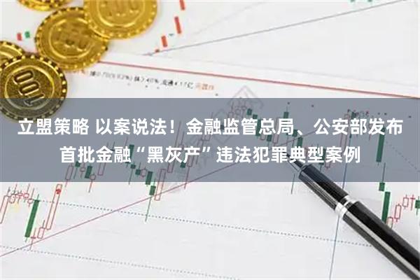 立盟策略 以案说法！金融监管总局、公安部发布首批金融“黑灰产”违法犯罪典型案例