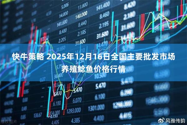 快牛策略 2025年12月16日全国主要批发市场养殖鲶鱼价格行情